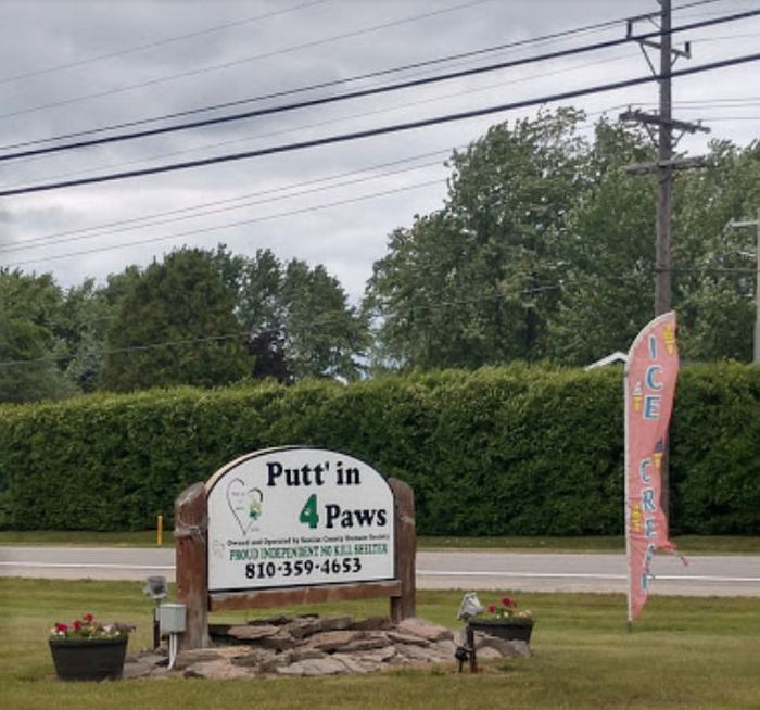 Puttin 4 Paws - From Web Listing (newer photo)